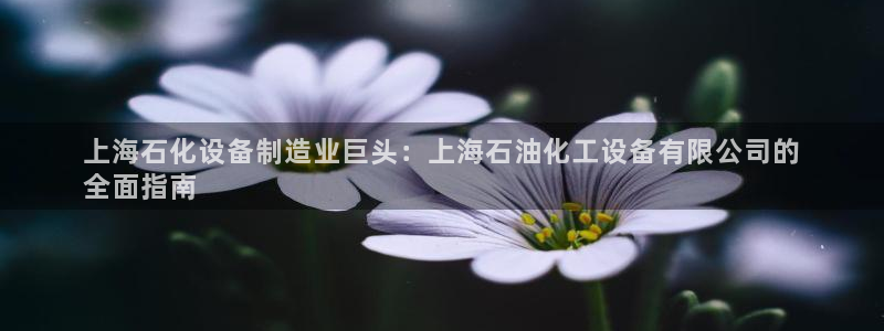 新宝gg–创造奇迹