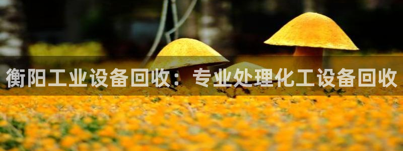 新宝gg官网登录代理