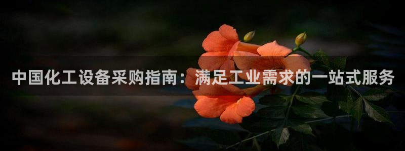 新宝GG平台德711怎么联系客服