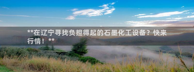 新宝GG平台德711.112如何处理