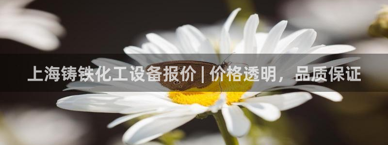 新宝gg创造奇迹为什么登录不了了