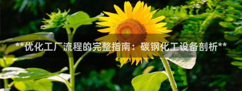 新宝gg创造奇迹怎么登录不上去