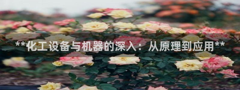 新宝GG平台负责人