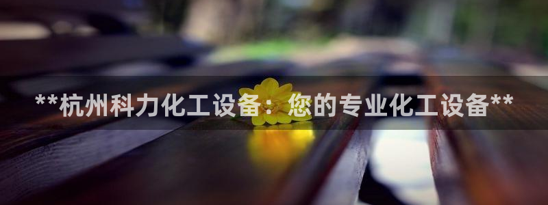 新宝gg创造奇迹登录注册优势