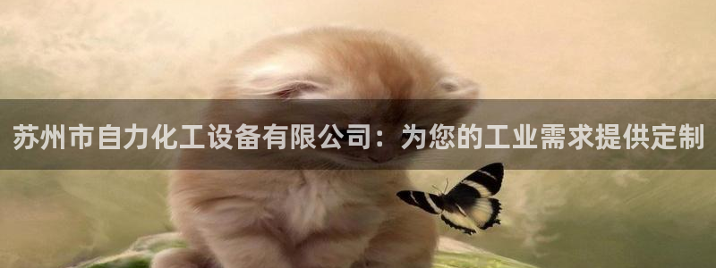 新宝gg开奖假不假：苏州市自力化工设备有限公司：为