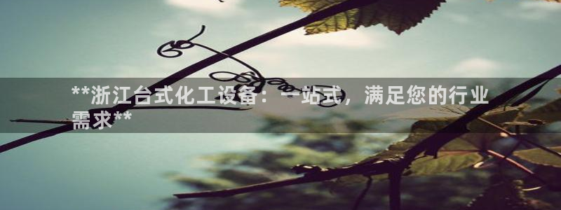 新宝gg手机版登录官网：**浙江台式化工设备：一站