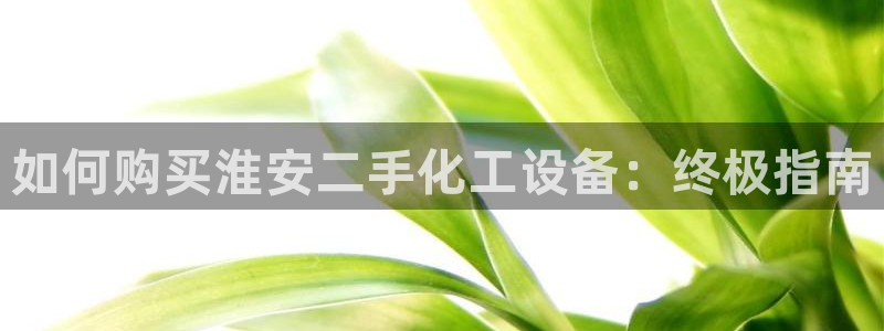 新宝gg怎么登录不了了