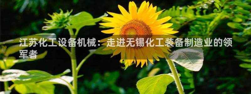 新宝gg—创造奇迹官网登录