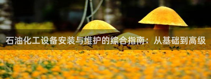 新宝GG创奇迹：石油化工设备安装与维护的综合指南：