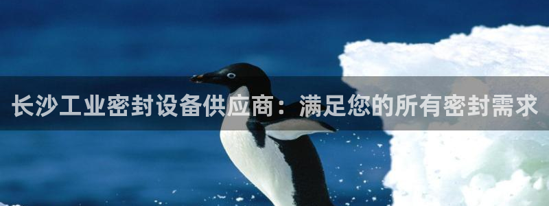 新宝GG平台开户：长沙工业密封设备供应商：满足您的