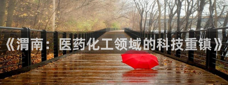 新宝gg一创造奇迹登录龙,虎,和