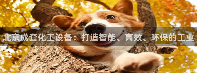 新宝gg平台—创造奇迹赌博：北京成套化工设备：打造