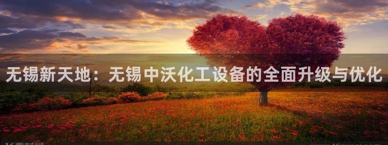 新宝gg平台注册官网