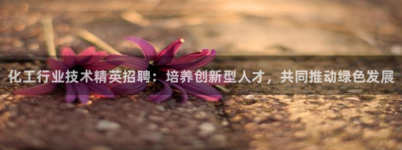 新宝gg登录了还能上吗