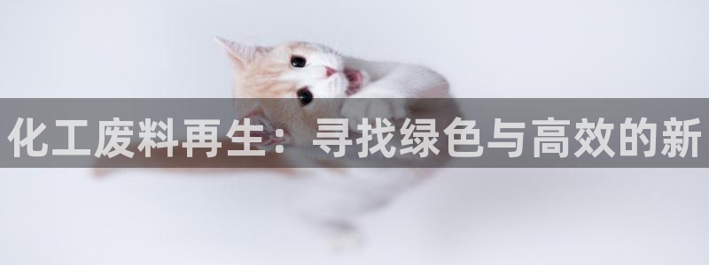 新宝gg为什么登不上去了