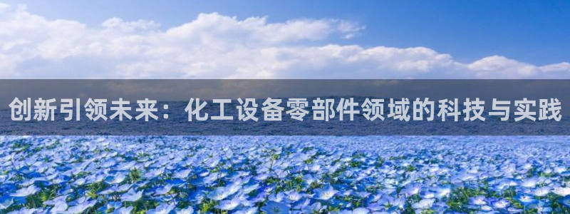 新宝GG创造奇迹：创新引领未来：化工设备零部件领域的科技与实