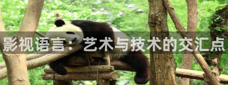 天空视频：影视语言：艺术与技术的交汇点