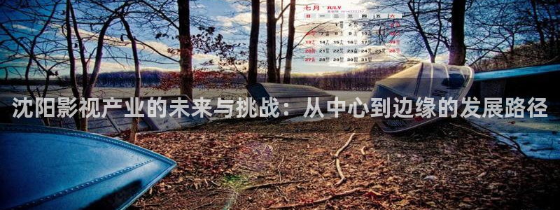 天空影视苹果下：沈阳影视产业的未来与挑战：从中心到边缘的发展路径