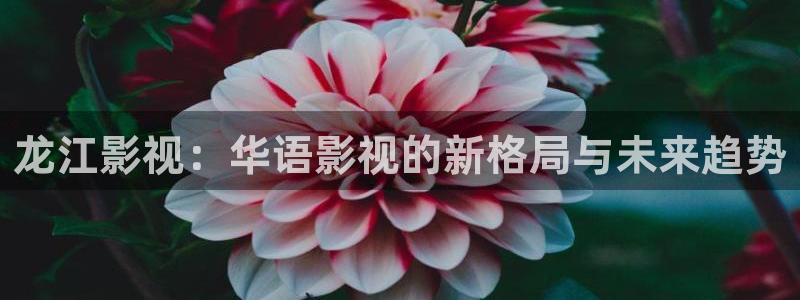 天空体育在线：龙江影视：华语影视的新格局与未来趋势
