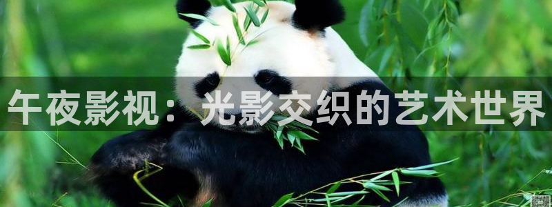 滚动的天空直播视频：午夜影视：光影交织的艺术世界