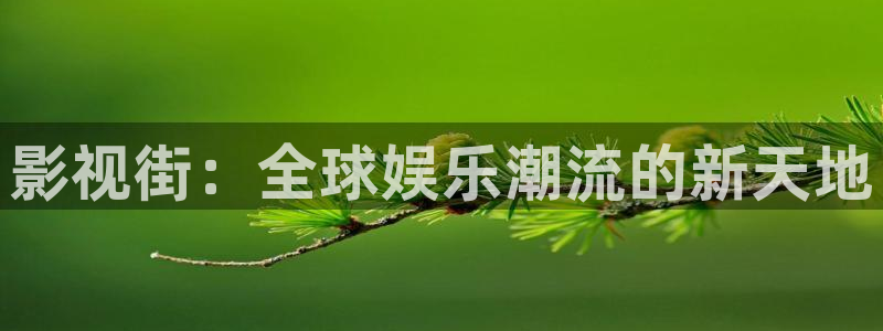 缘分的天空动漫免费在线观看：影视街：全球娱乐潮流的新天地